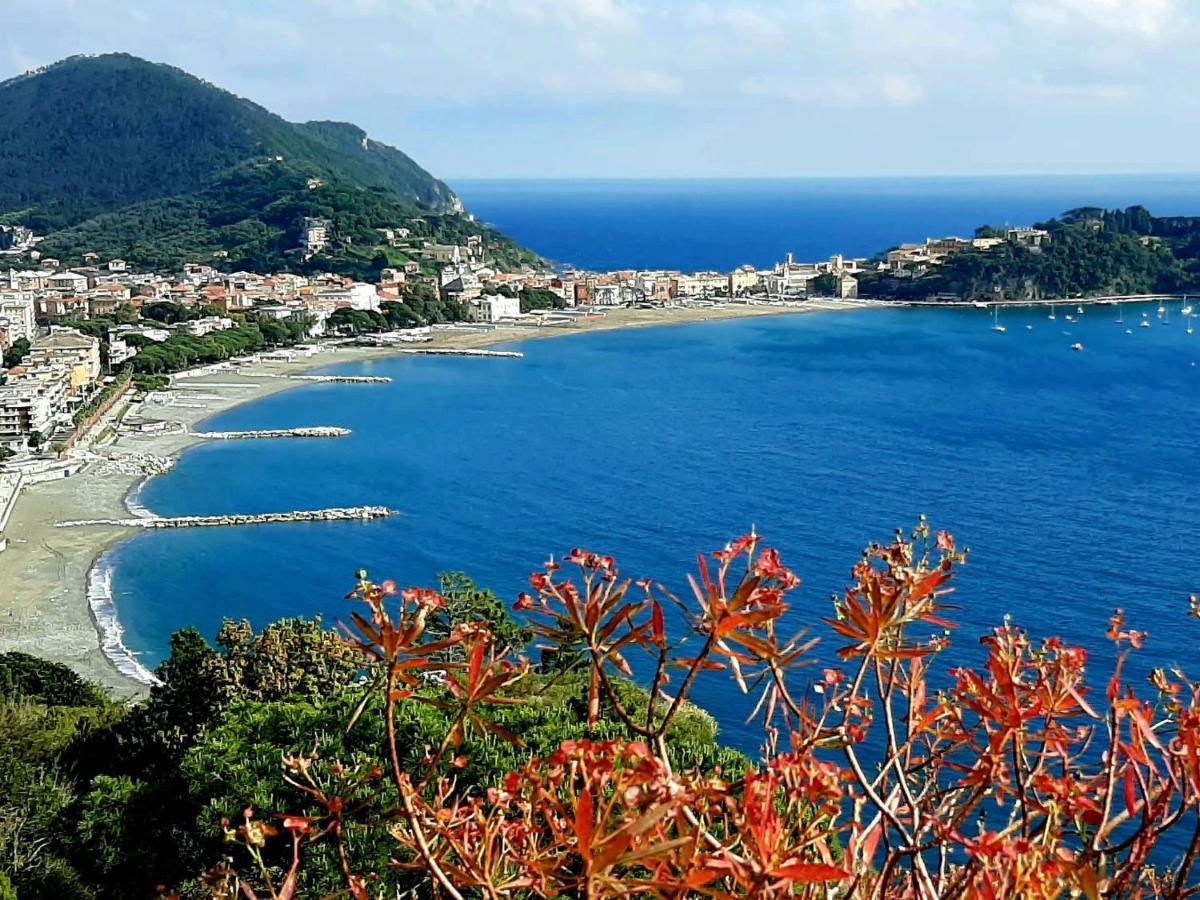 Apartment Zia Anna By Interhome Sestri Levante Eksteriør billede